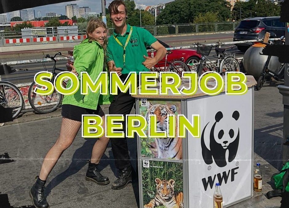 Sommerjob Berlin