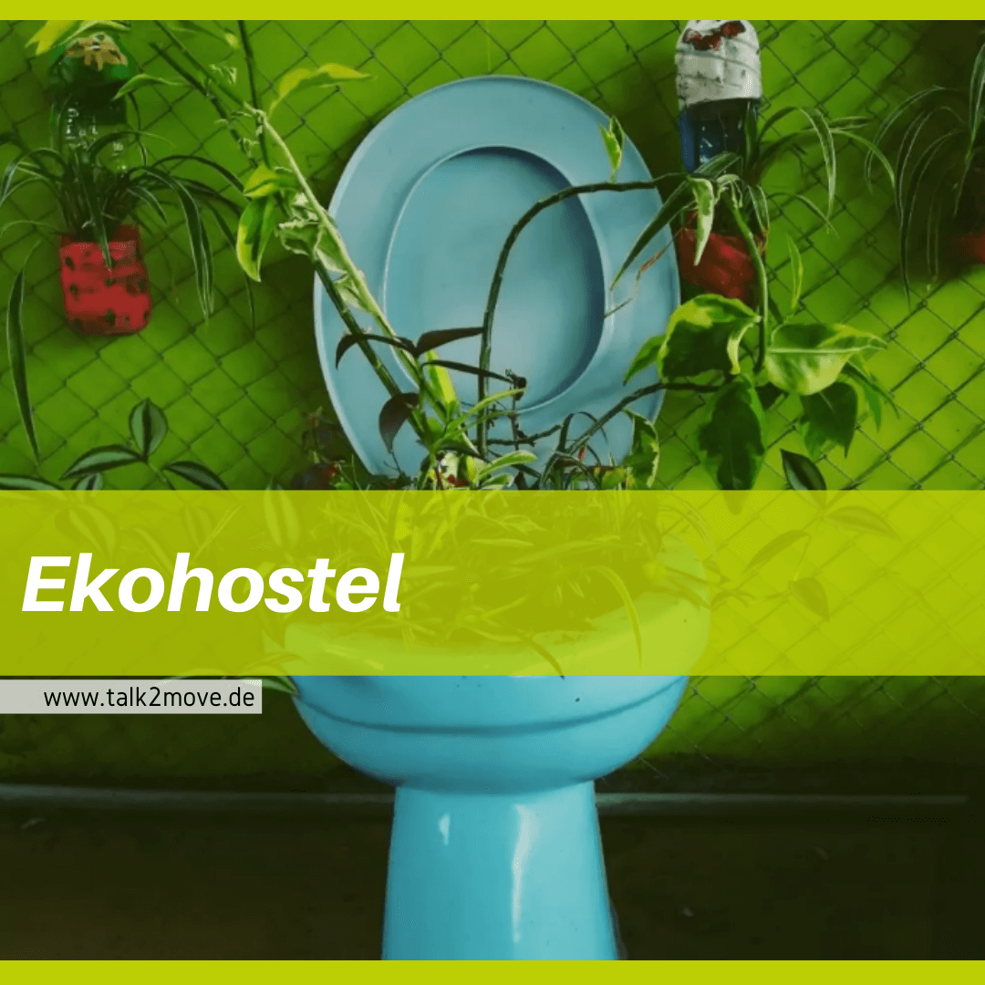 talk2move Blog - Ekohostel, Plastikproblem lösen