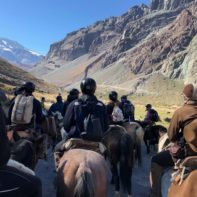 Pferdereiten Ausflug
