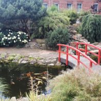 Idyllischer Teich mit einer kleinen roten Brücke